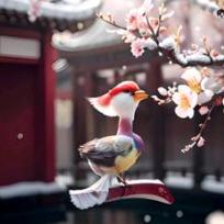 手插口袋