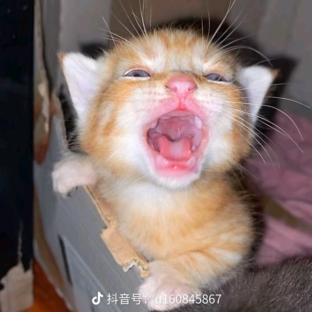 简拔萃