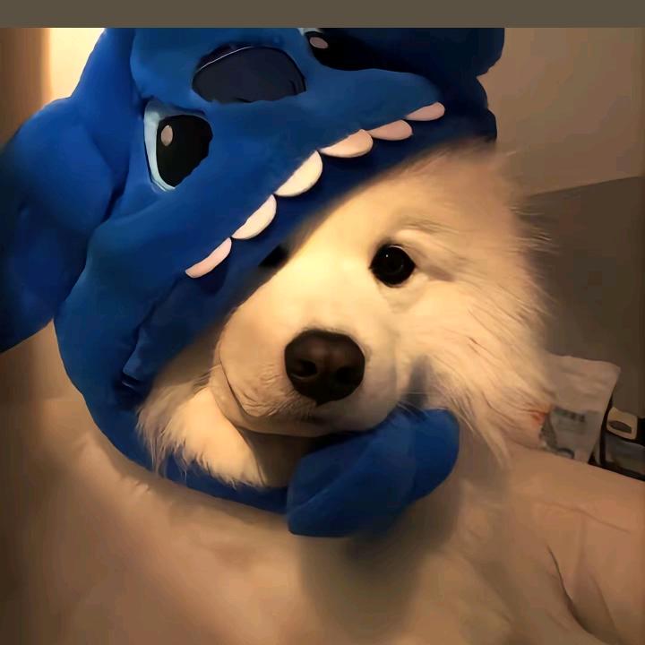 熠心