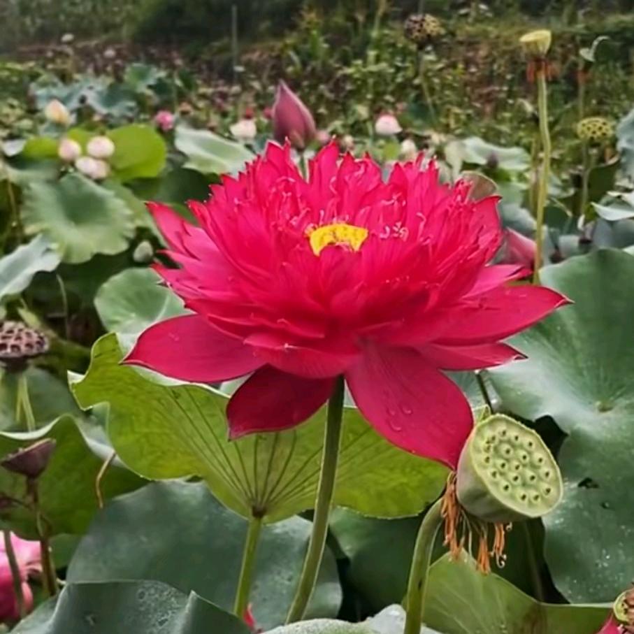 今生相识便是缘