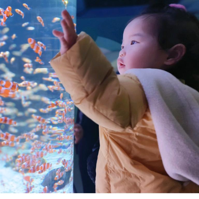 小卷毛：