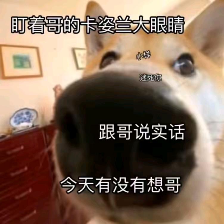 乌索普