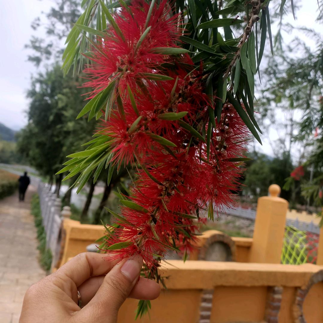 💞ꦿ᭄ཽ࿆☞静丫头💞ꦿ᭄࿆☞