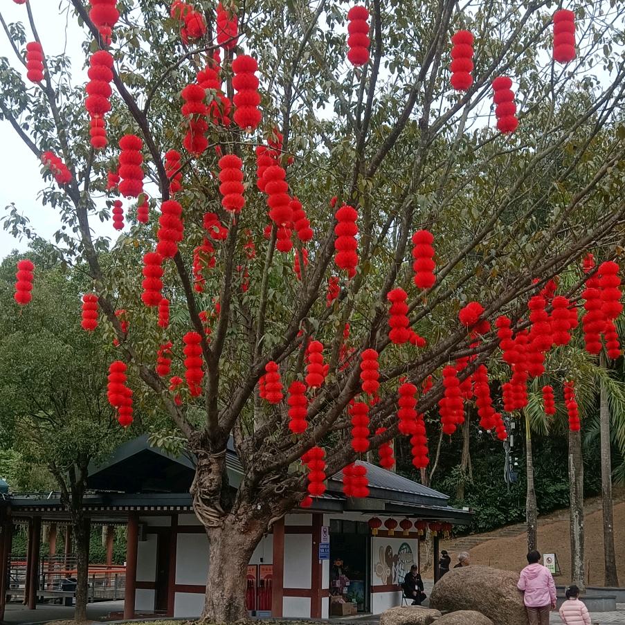 春花秋月何时了