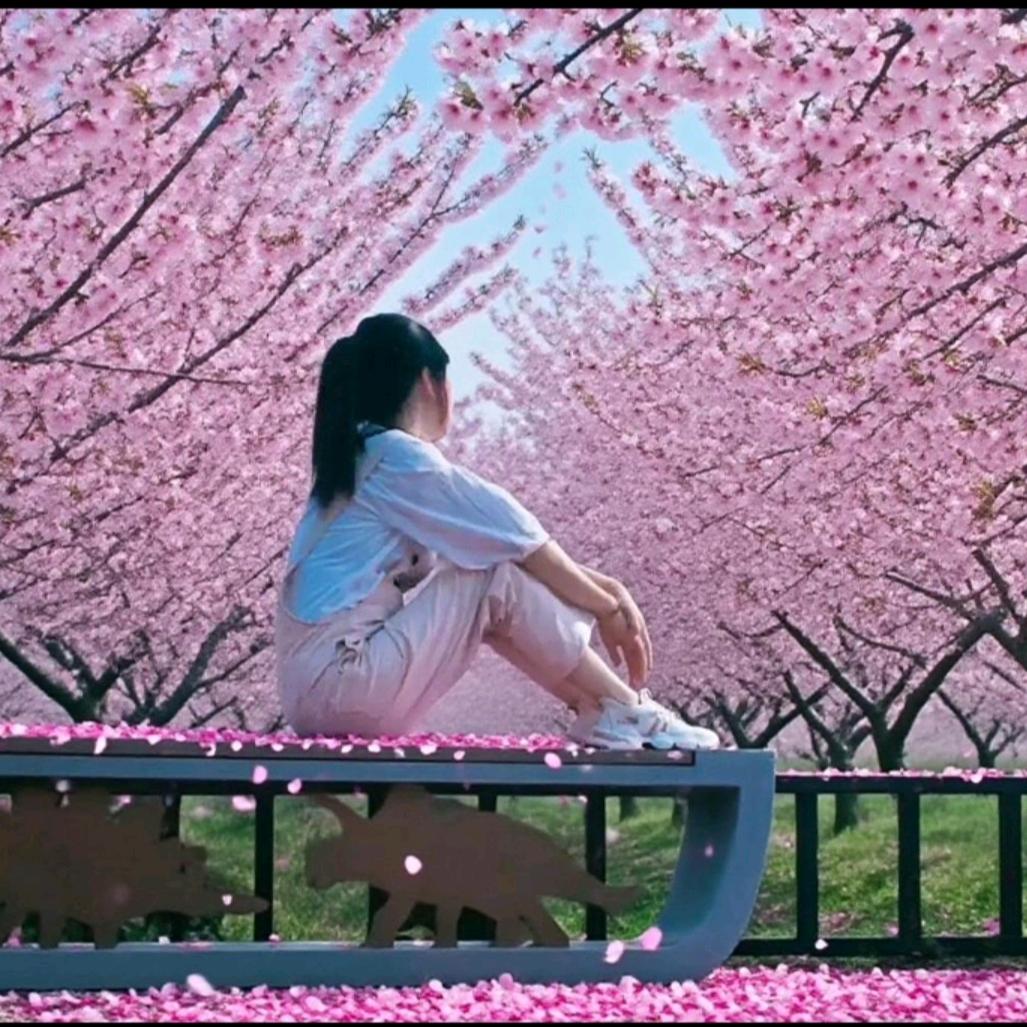 এ᭄娜꧔ꦿ娜᭄💞