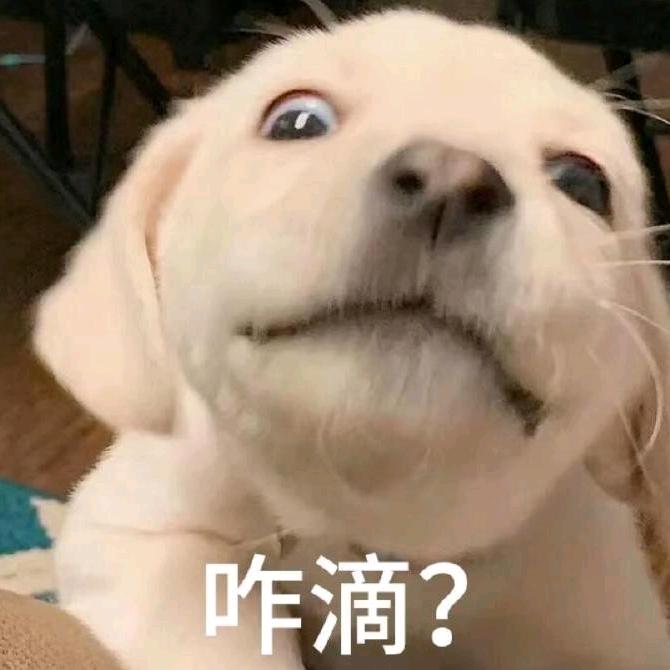 陌生人