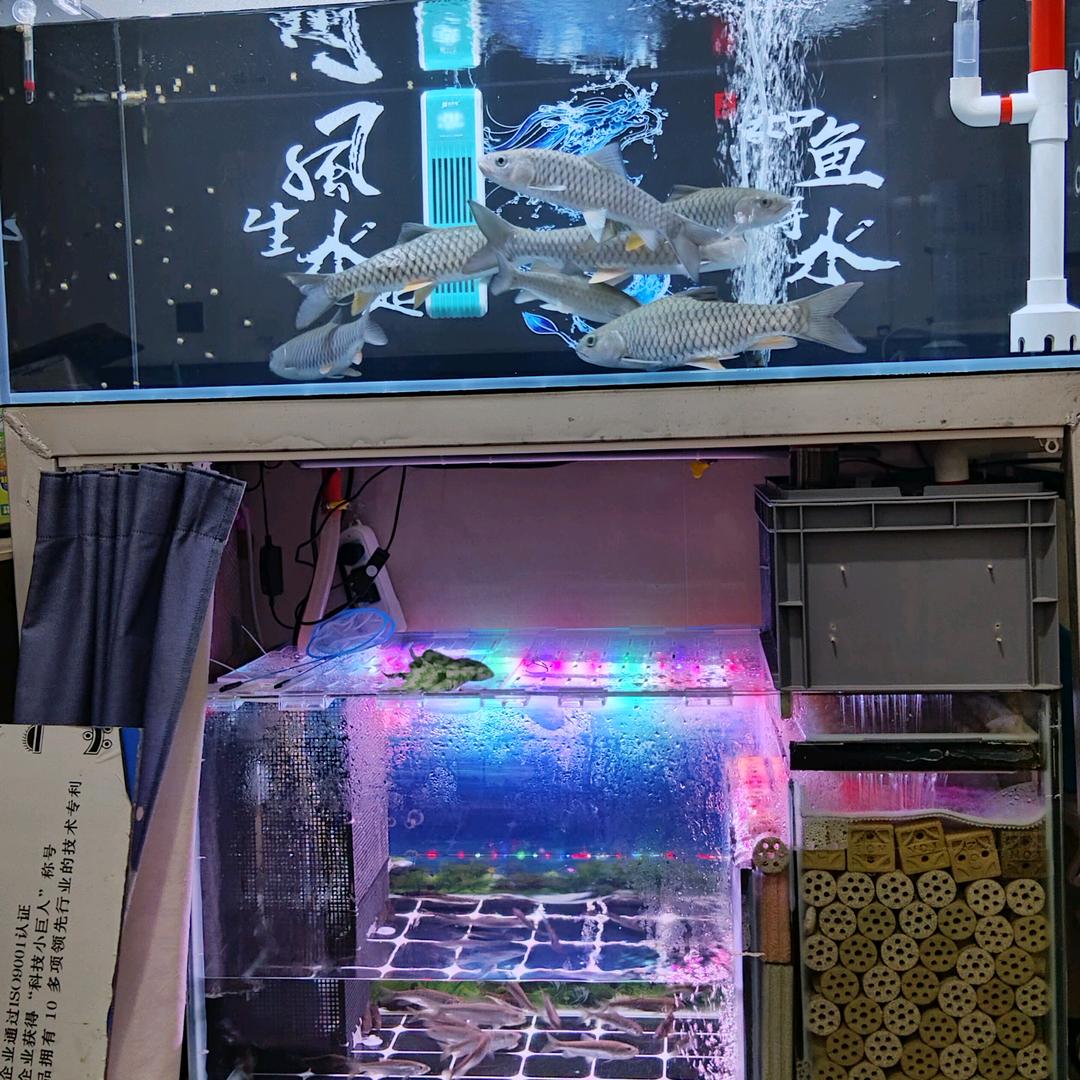 努力