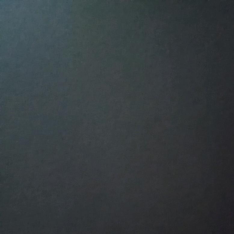 用户8081900494259