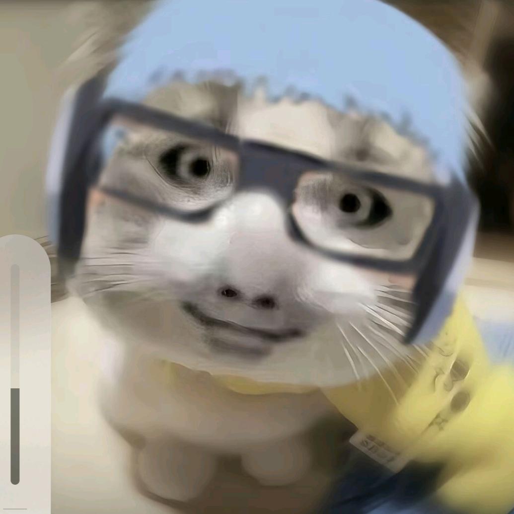 小芳爱追剧