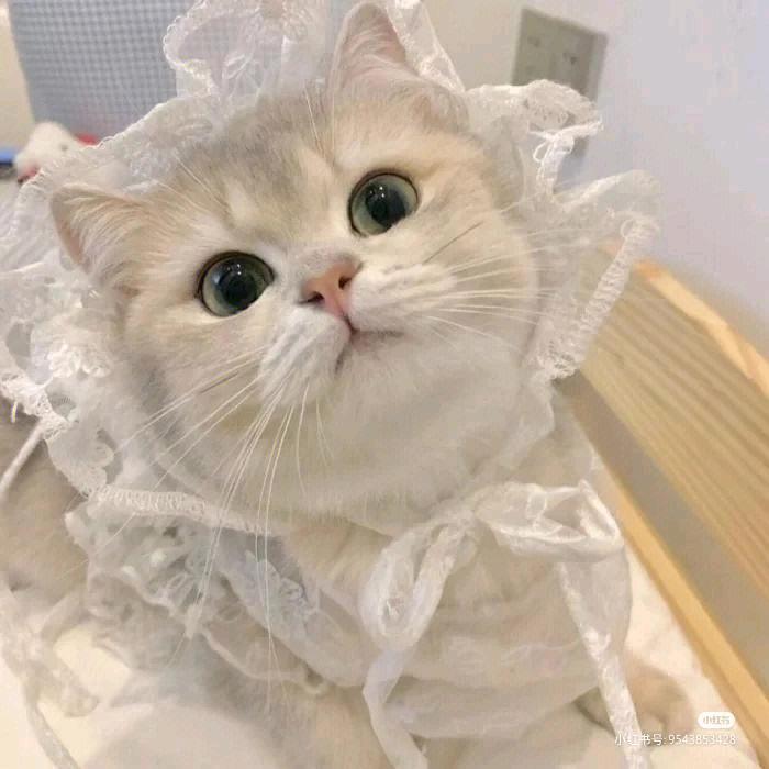 腾耀网络水果生鲜