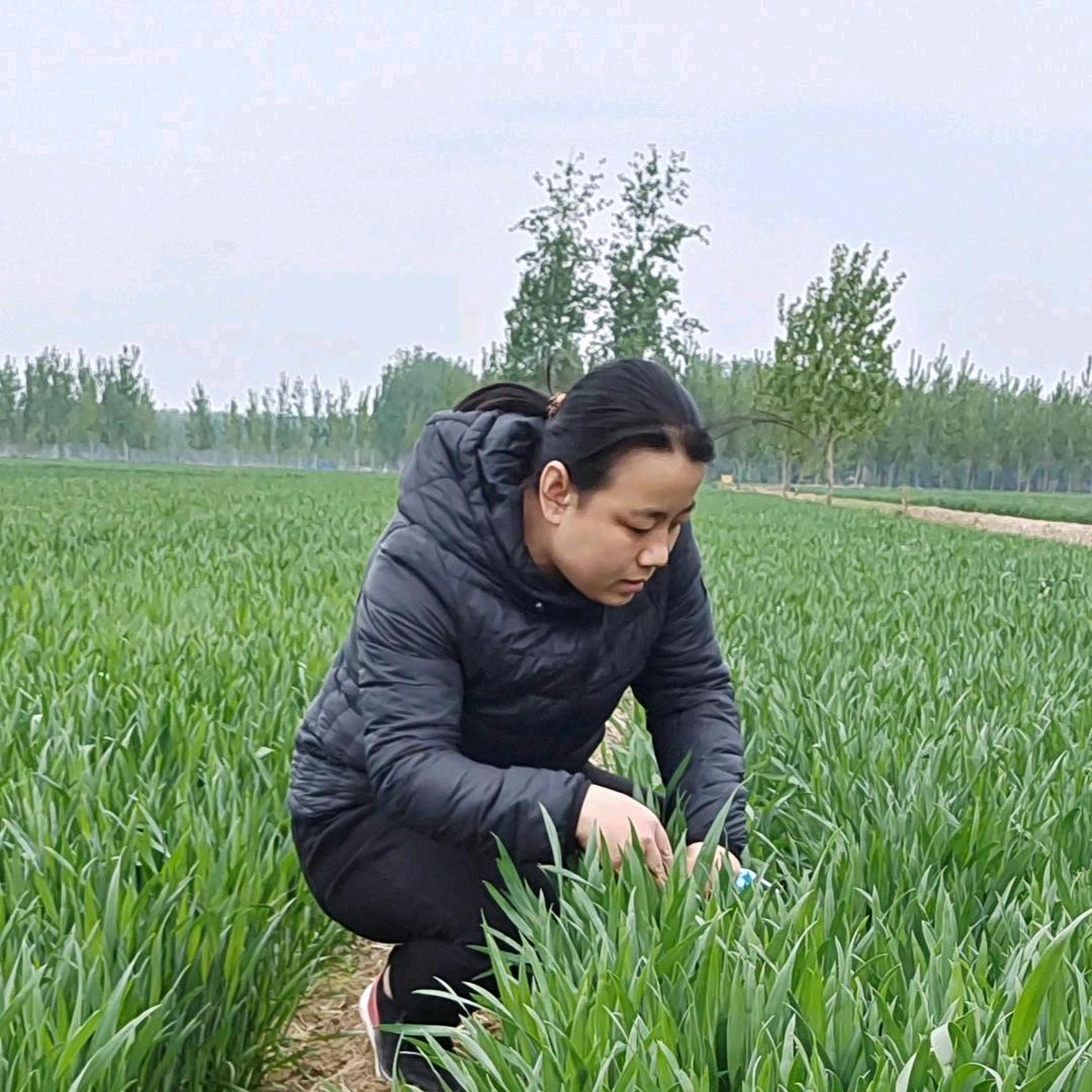 惠民千村植保农资