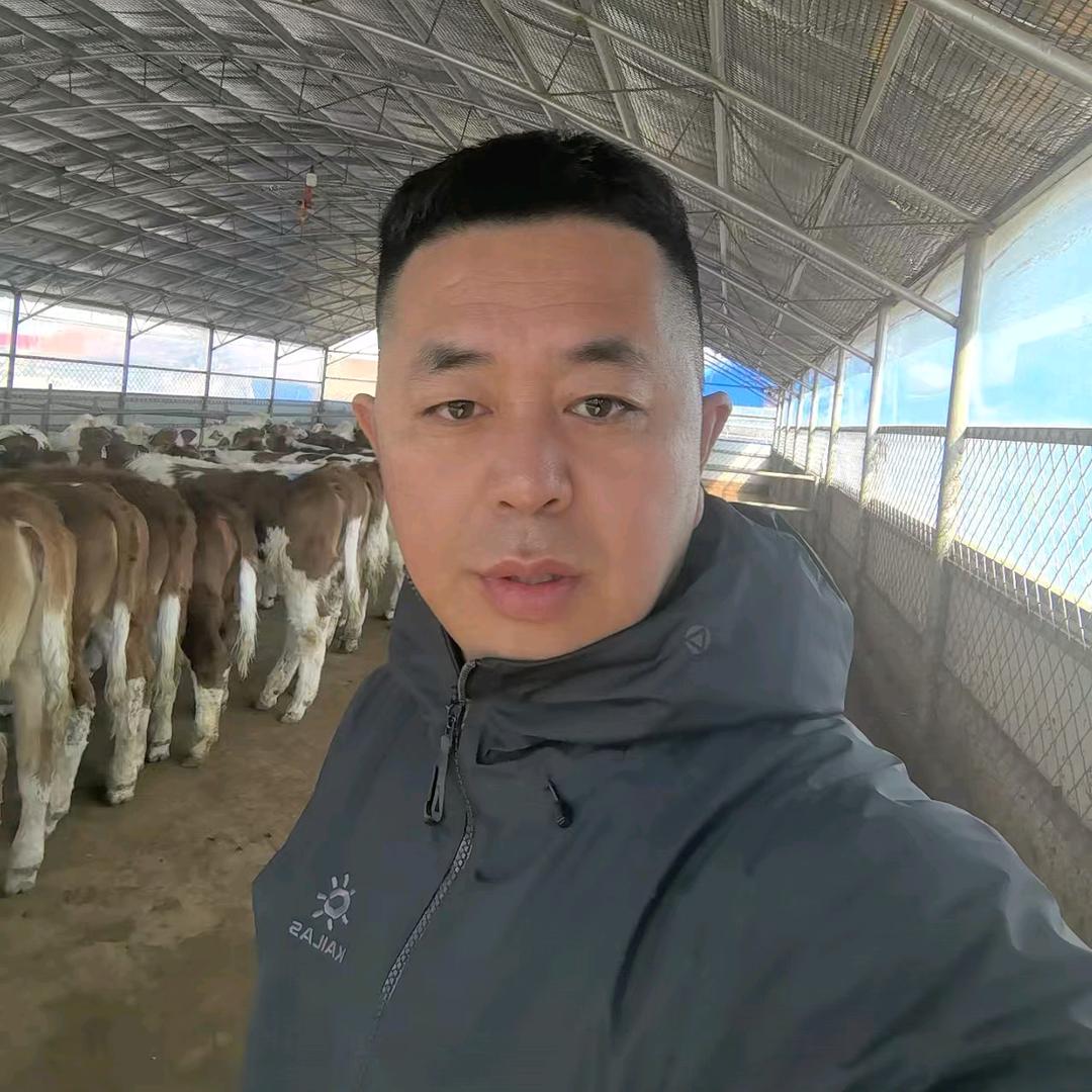 吉林养牛人马哥