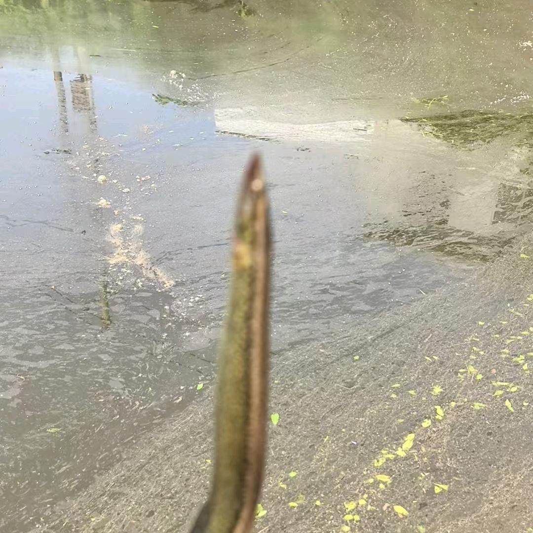 钓时光