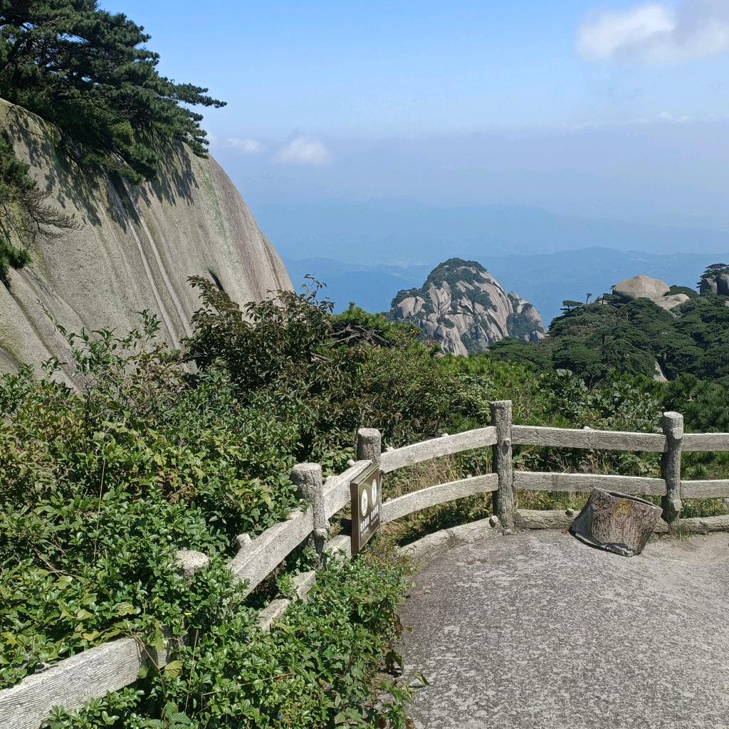 期望盼望未来