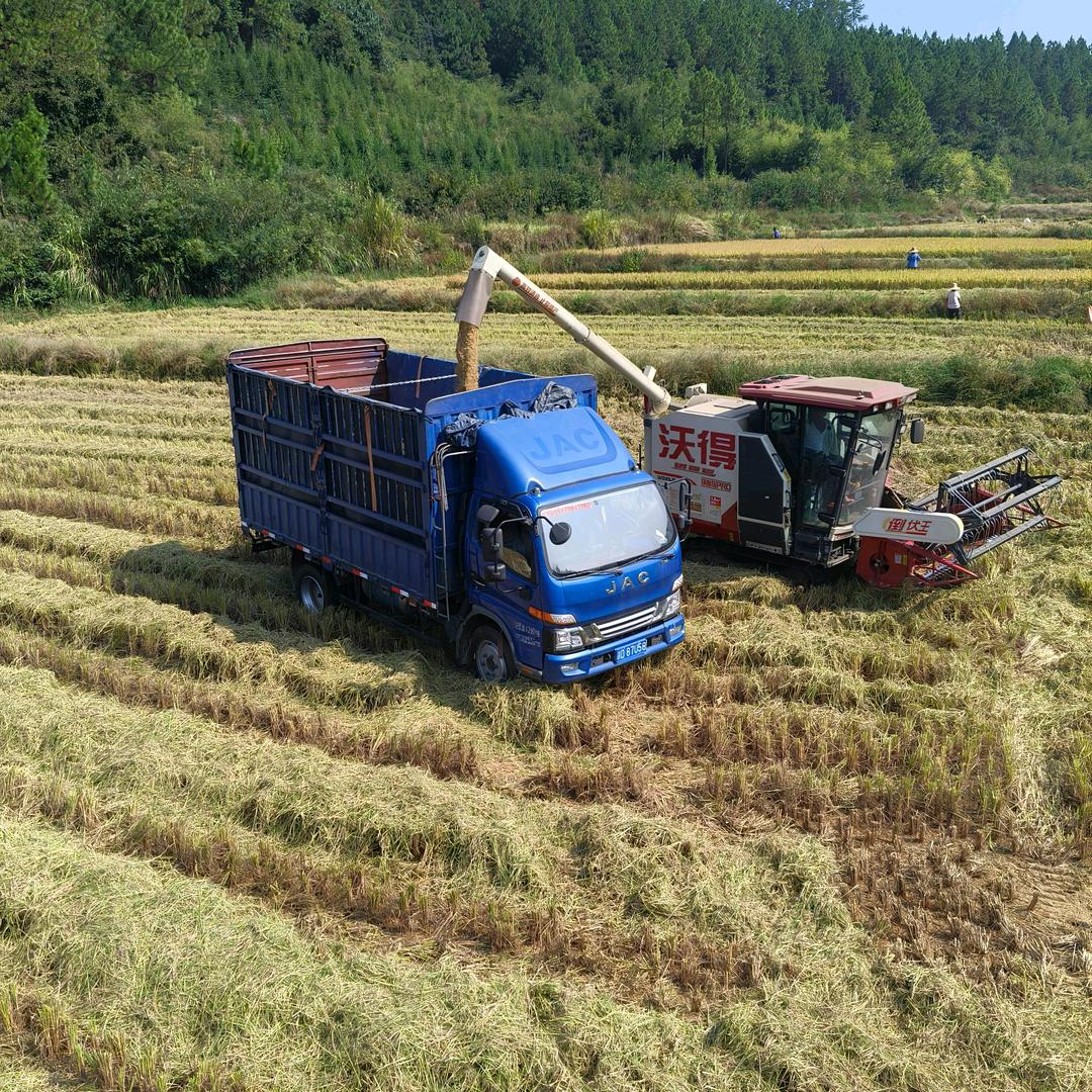 潇洒哥 （田野上的搬运工）