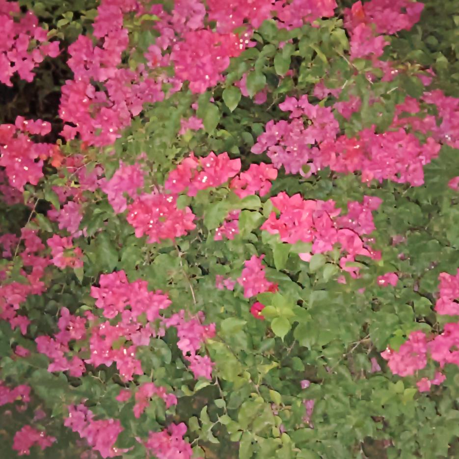 多财(★^O^★) 多亿