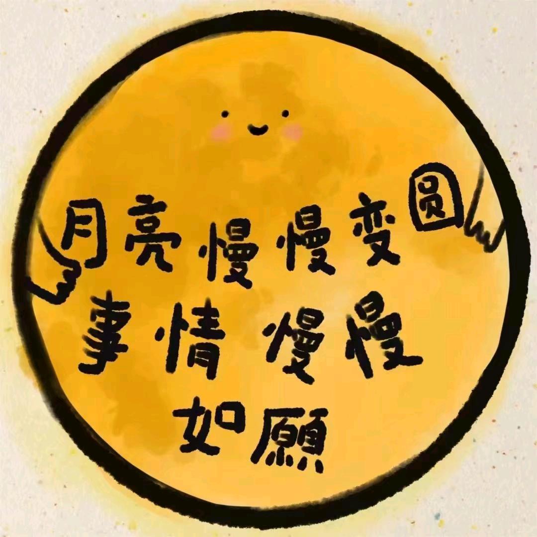 176008265善缘