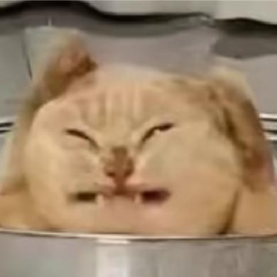 七安