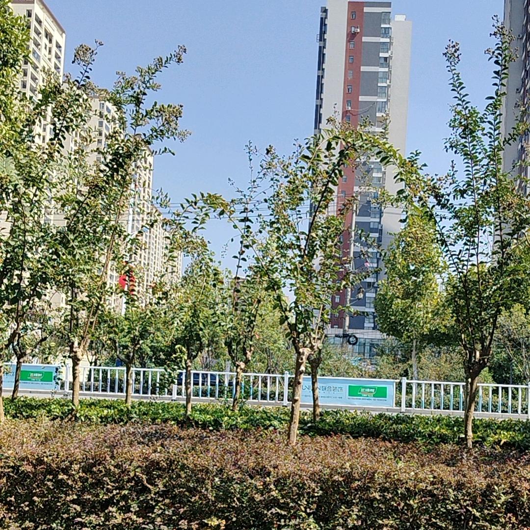 小石带你找工作
