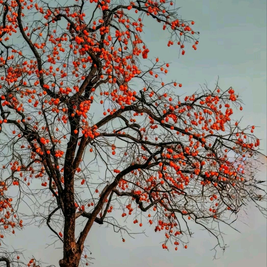 好运᭄💞加满💞