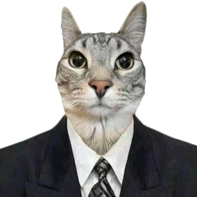 重生之我在猫meme界做剪辑