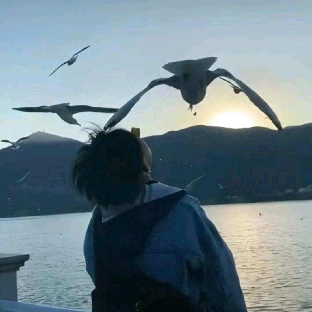 普帅♛