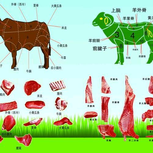 宁夏滩羊 黄牛肉 店