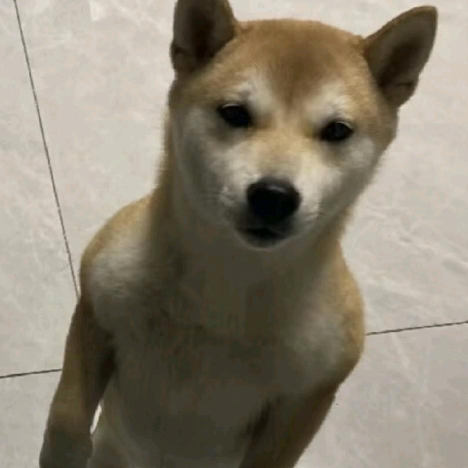 匿名