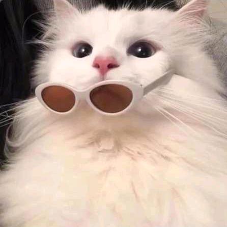 じòve゛心软是你℘