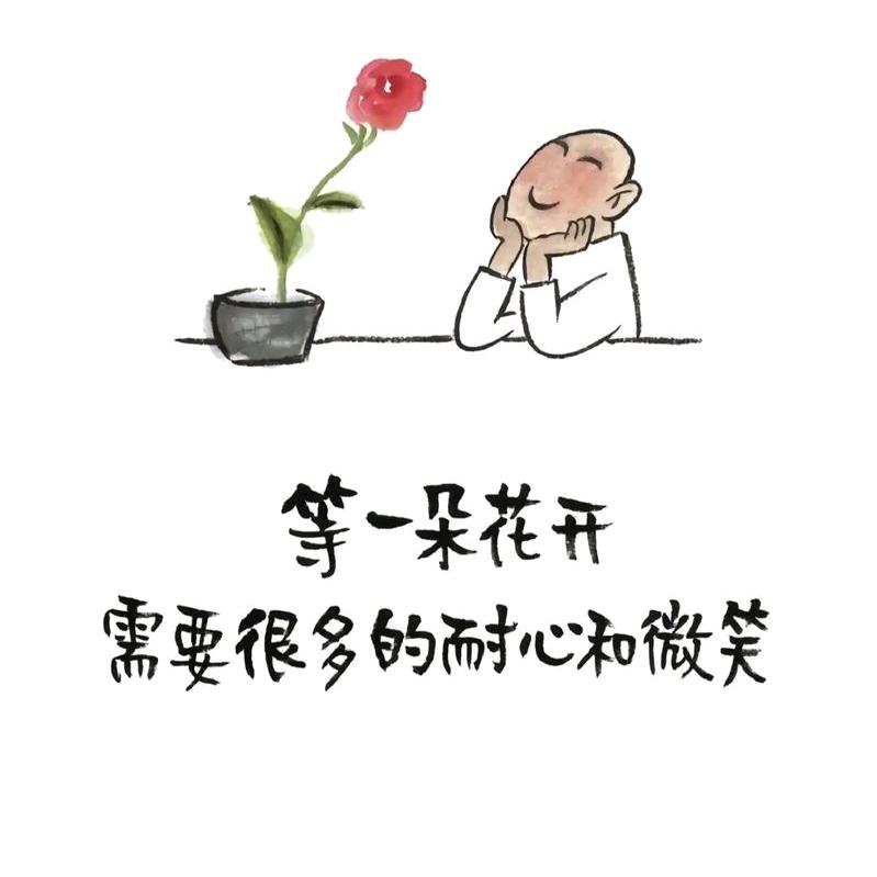 🐉飞凤舞