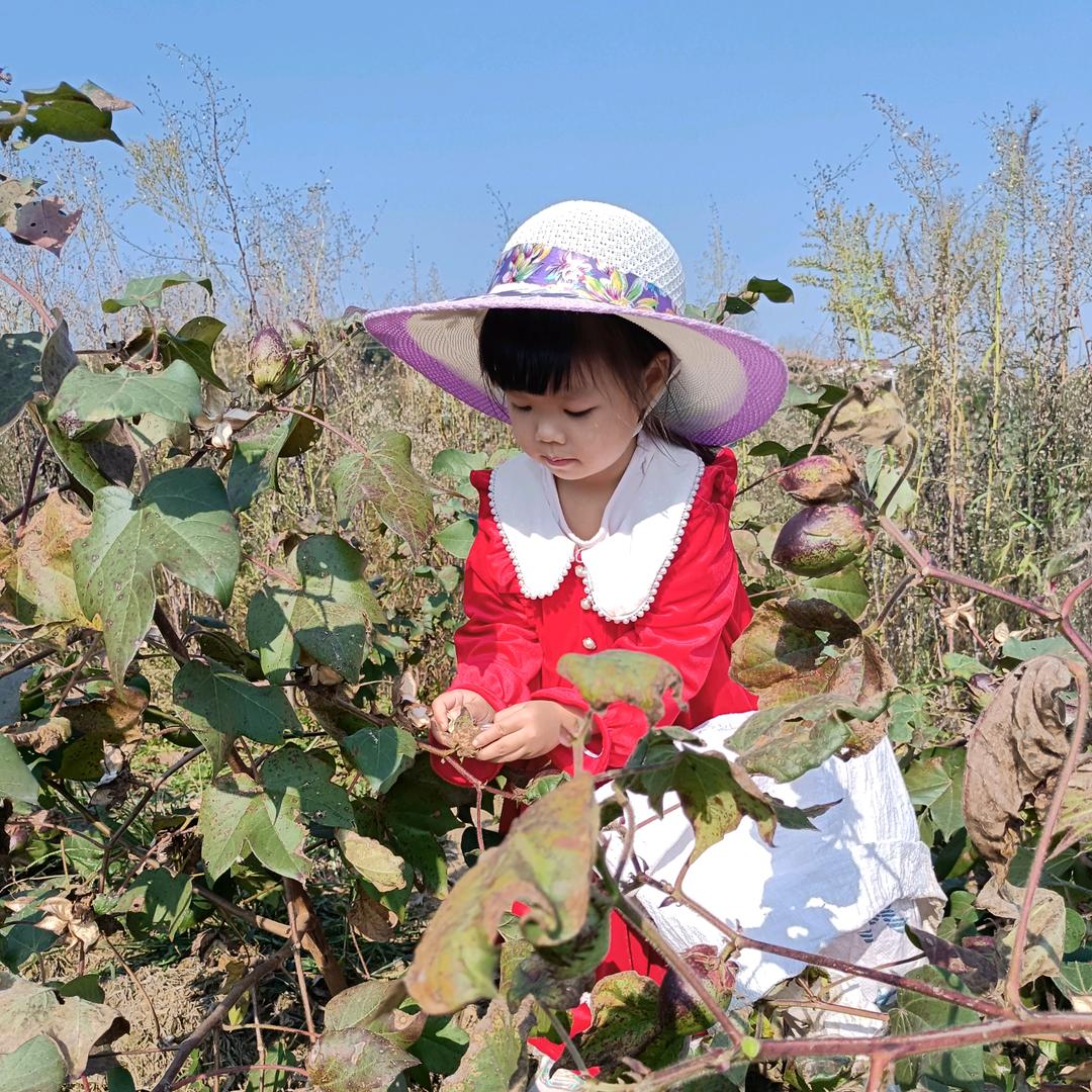 晴晴小丫头🍒