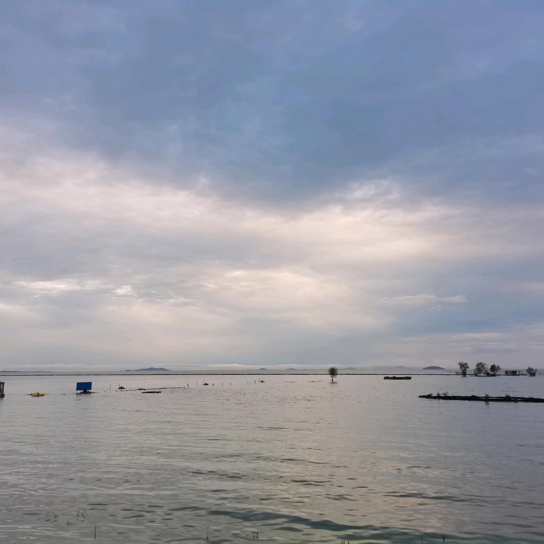 新品发布君和鑫