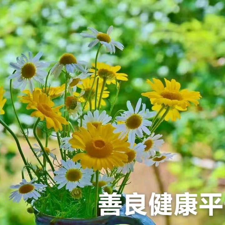 小财迷湘姐