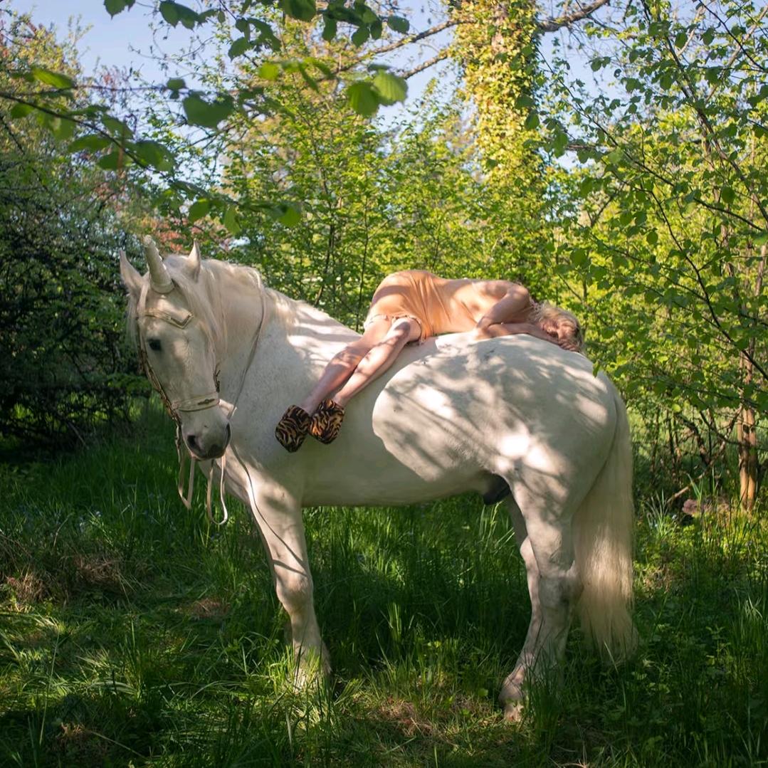 叮叮咚咚锵（好运连连版）