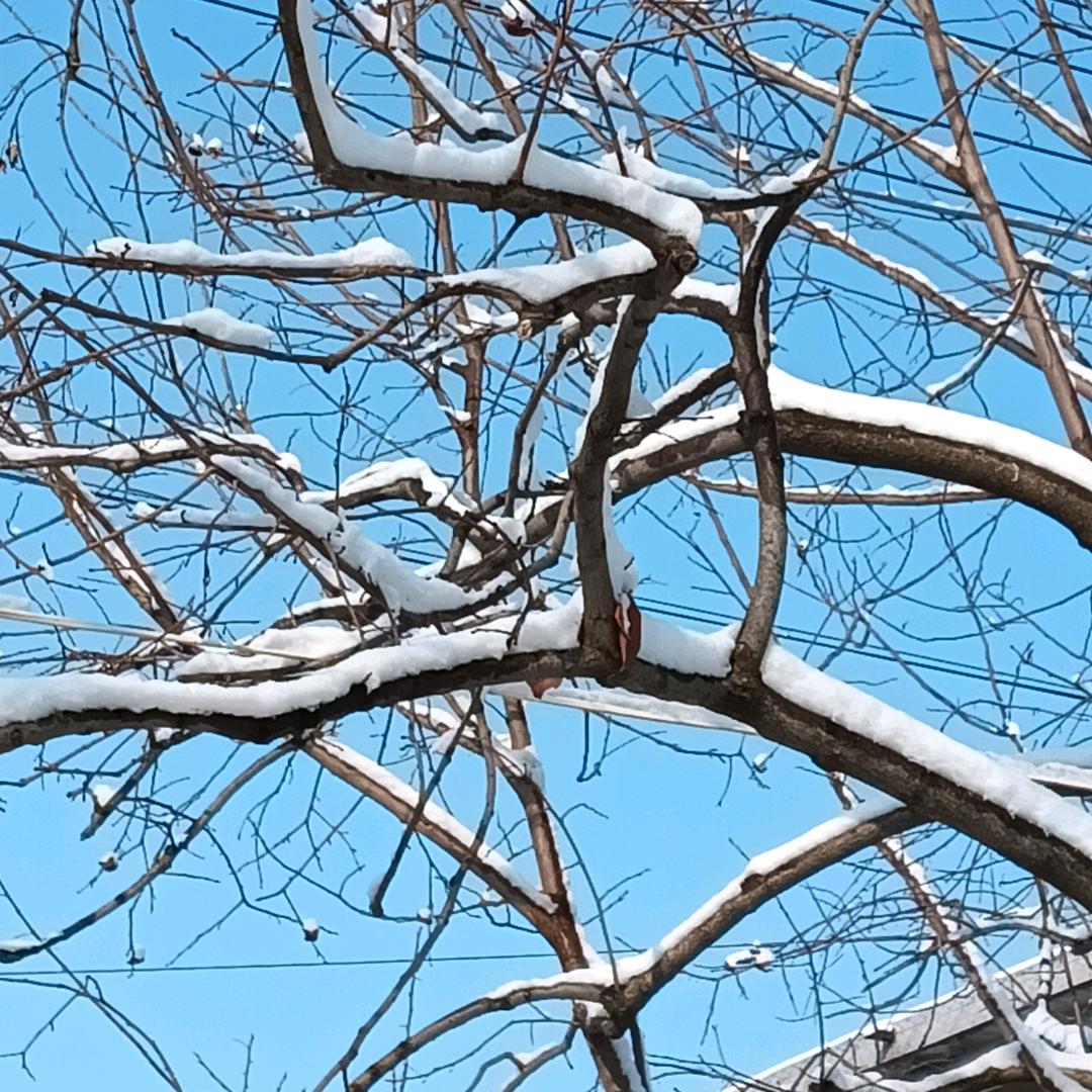 皓皓～有你真好