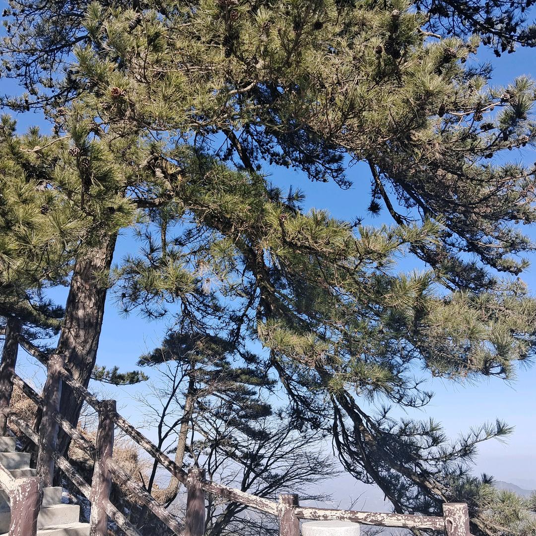 是你的朋友