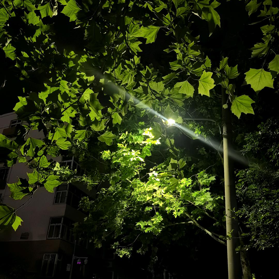 清清没脾气