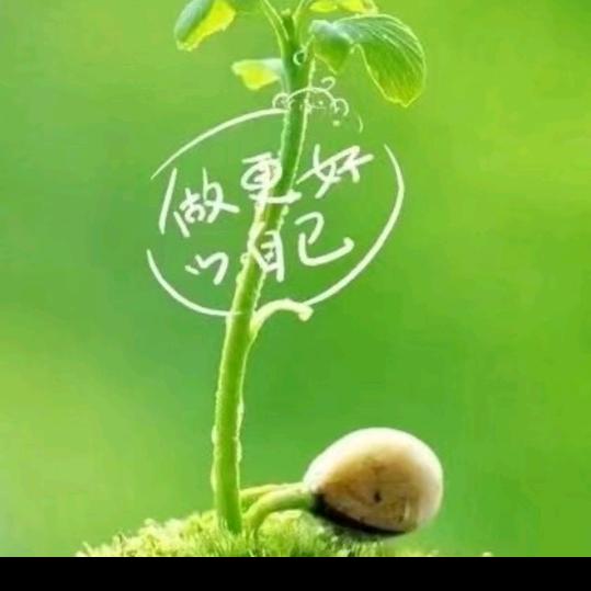 漫步云间