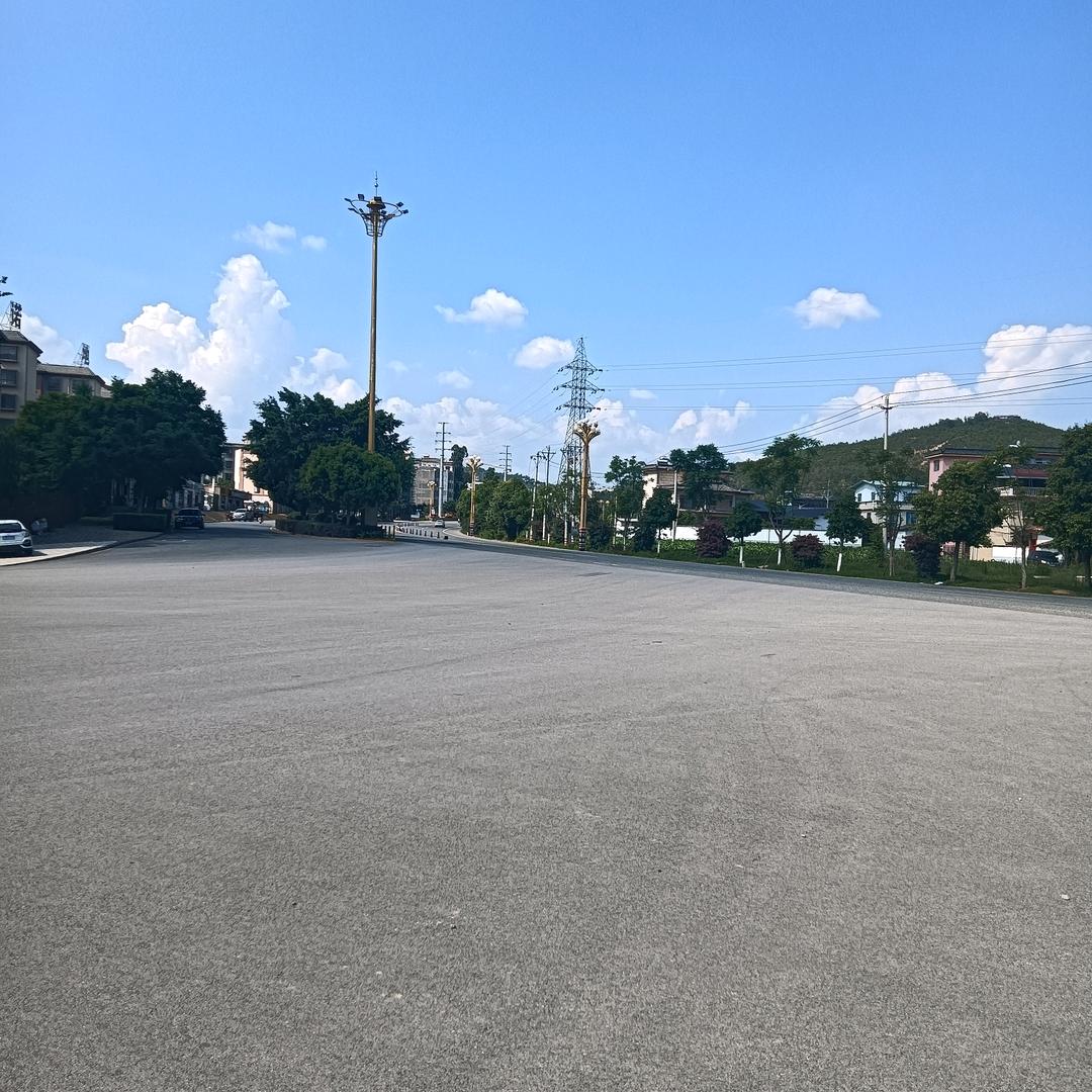 小杨