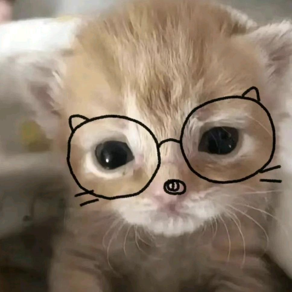 帕尼尼