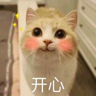 ( ﹡ˆoˆ﹡ )，，，，