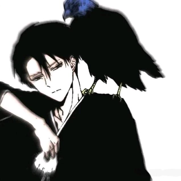 亦新