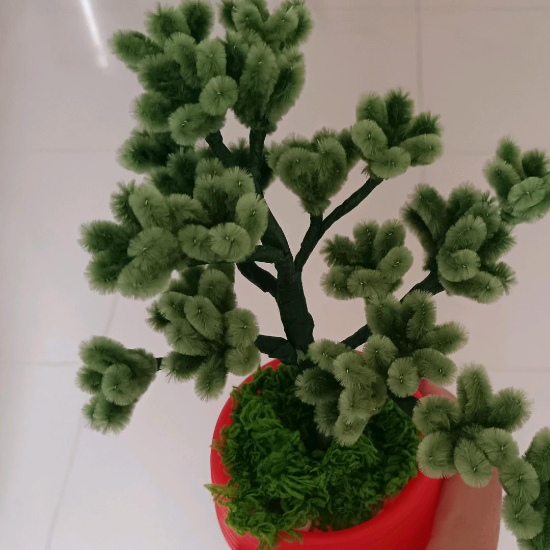 蒋兰  带你选购天柱房