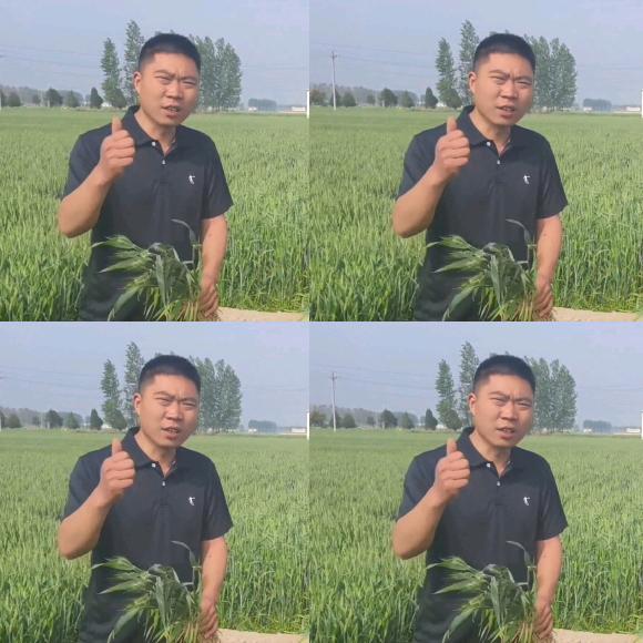 农田卫士