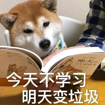 襂纚