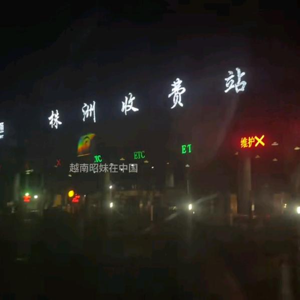 夏天的风有你