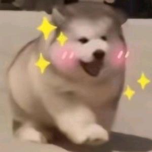 来点小钱钱