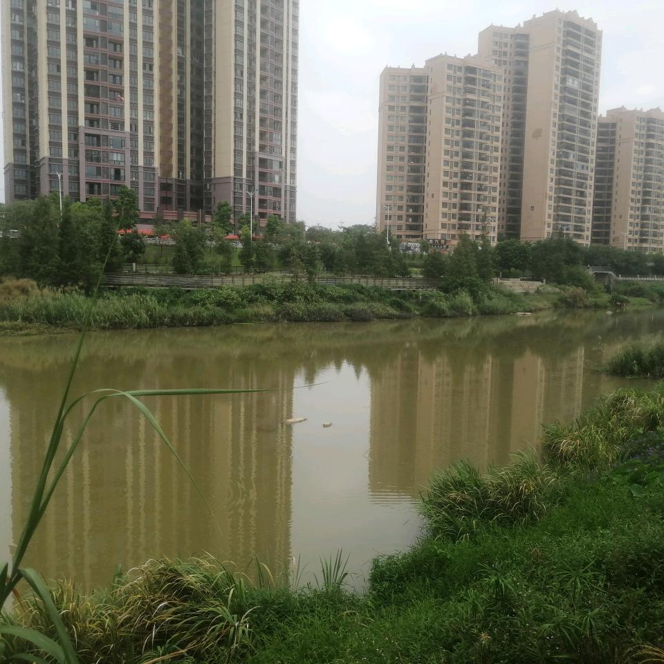 美美与共