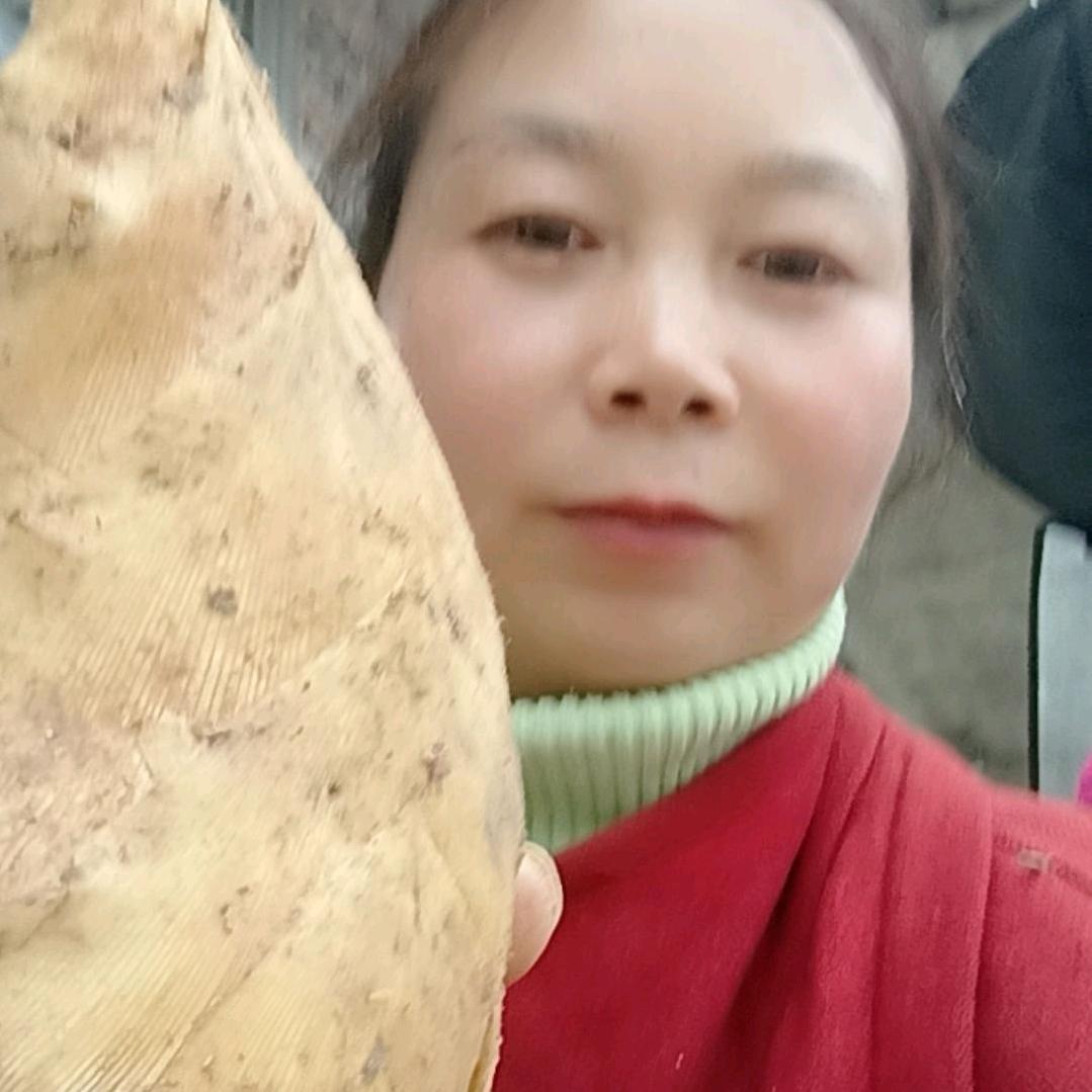 美好佳怡