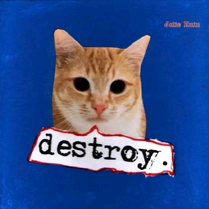 baekbuuh